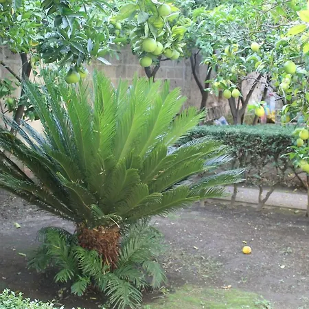 Appartamento La Lanciolla Maddaloni